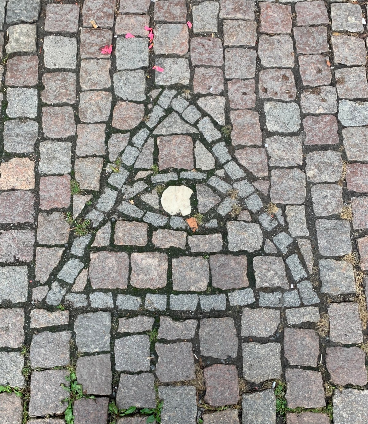 Scandinavian Adventures